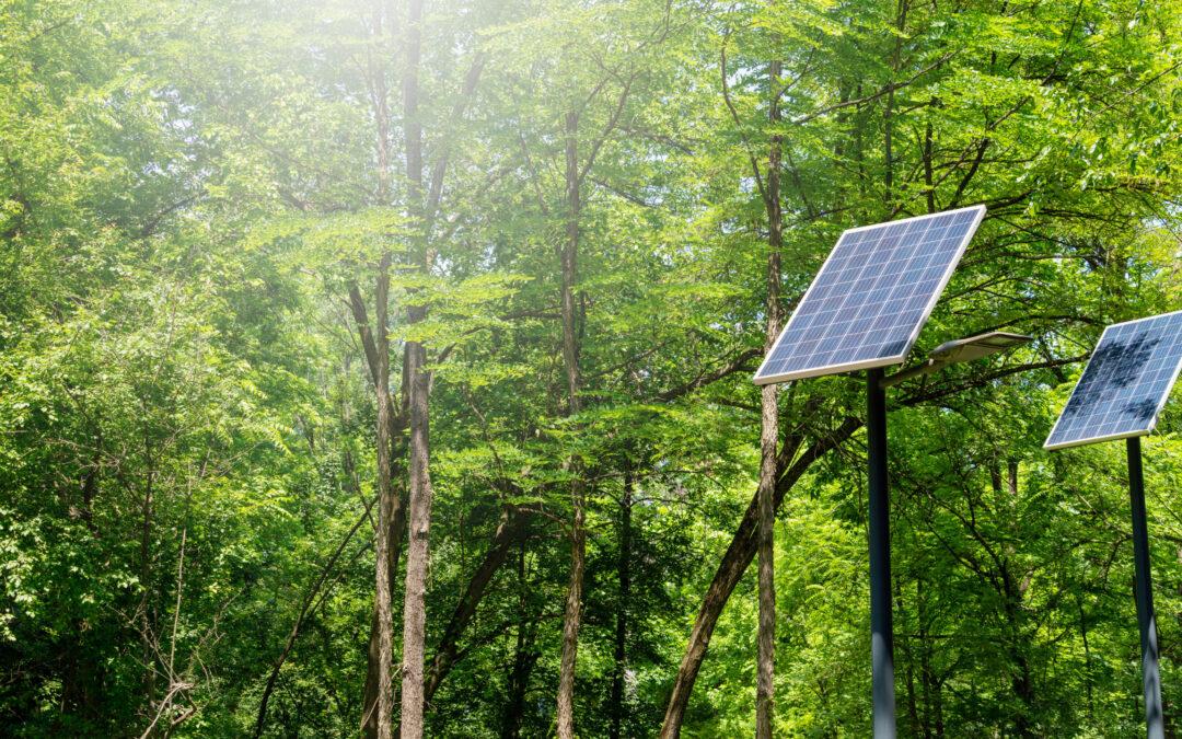Anzile Carrelages investit dans sa transition écologique
