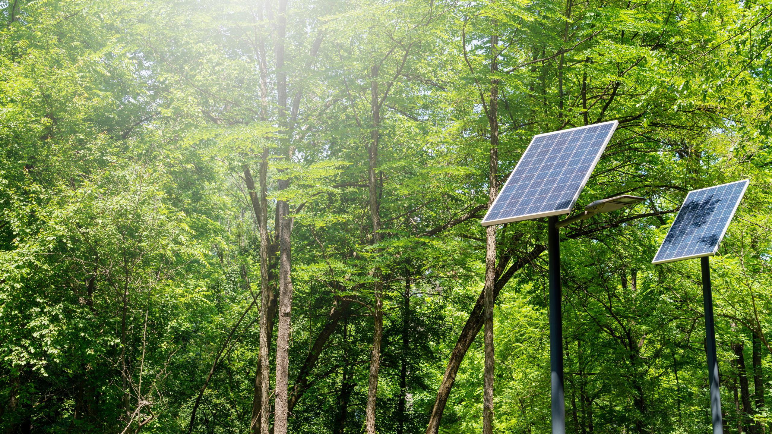 transition écologique et énergétique